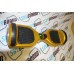 Starburst - Gold 6.5 Inch